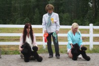  FI MVA EXCUSE ME WALKING ON SUNSHINE "Poco" (vasemmalla)